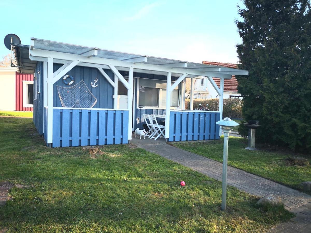 Ferienhaus Fh5 "Haus Svenja" Graal-Mueritz Extérieur photo